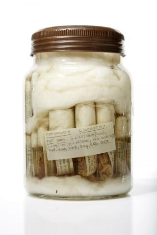  Discovery Designated as a Royal Research Ship