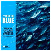 The Hidden Influence Marine Life Has on Our Climate (Dr Adrian Martin)