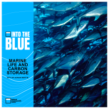 The Hidden Influence Marine Life Has on Our Climate (Dr Adrian Martin)