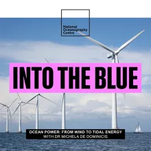 Will Wind and Tidal Energy Power Our Homes in the Future? (Dr Michela De Dominicis)