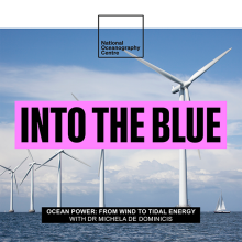 Will Wind and Tidal Energy Power Our Homes in the Future? (Dr Michela De Dominicis)