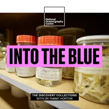  The Collection That Homes Weird and Wonderful Sea Creature Specimens (Dr Tammy Horton)