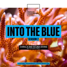 What Corals Tell Us About the Health of the Ocean and Scuba Diving Stories (Dr Sara Fowell)