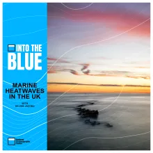 How Vital Is Research in Mitigating Effects of Marine Heatwaves in the UK? (Dr Zoe Jacobs)