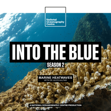 Why Are We Experiencing Marine Heatwaves and How Do We Tackle Them? (Dr Jules Kajtar)