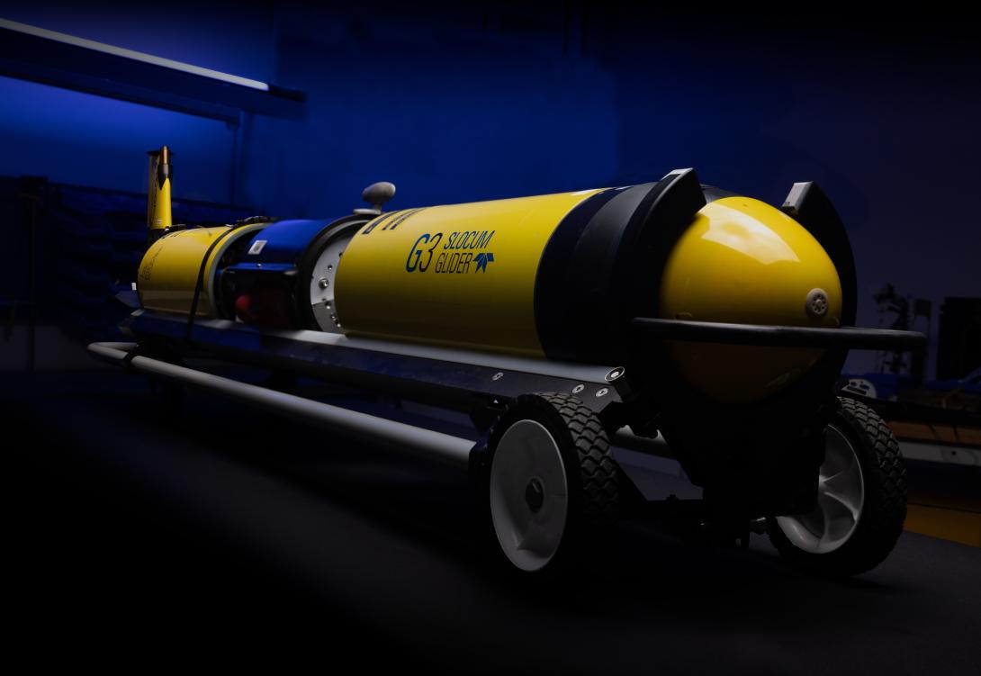 ReBELS (Resolving Biological carbon Export in the Labrador Sea)