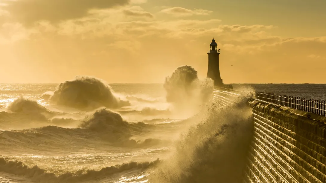 Hazards and Pollution