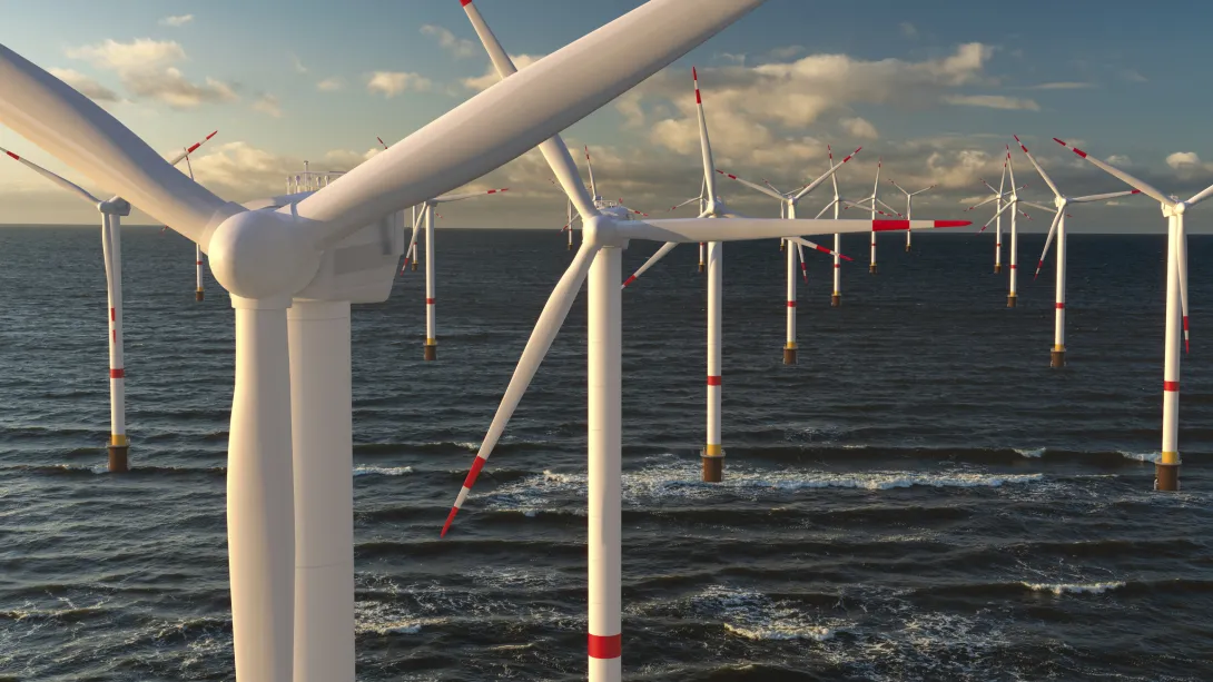 ECOWind-ACCELERATE (Ecological Implications of Accelerated Seabed Mobility around Windfarms)